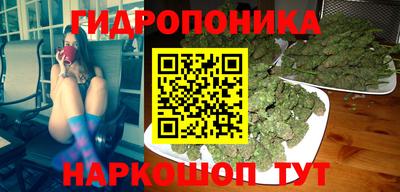 прущие крисы Мариинск