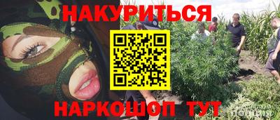 прущие крисы Мариинск